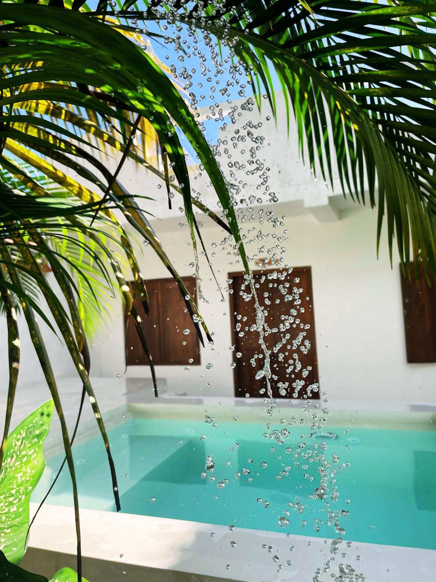 Sri Lanka Surf Villa Domus Graziella อาฮานกามา ภายนอก รูปภาพ